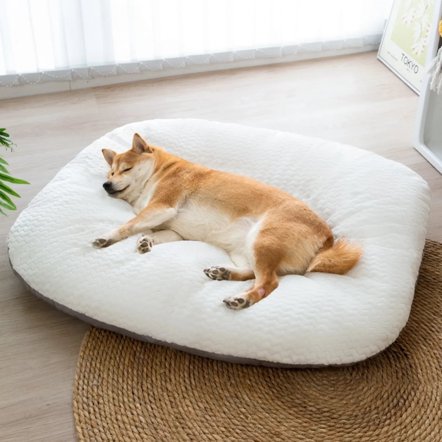 Warm Pet Nest